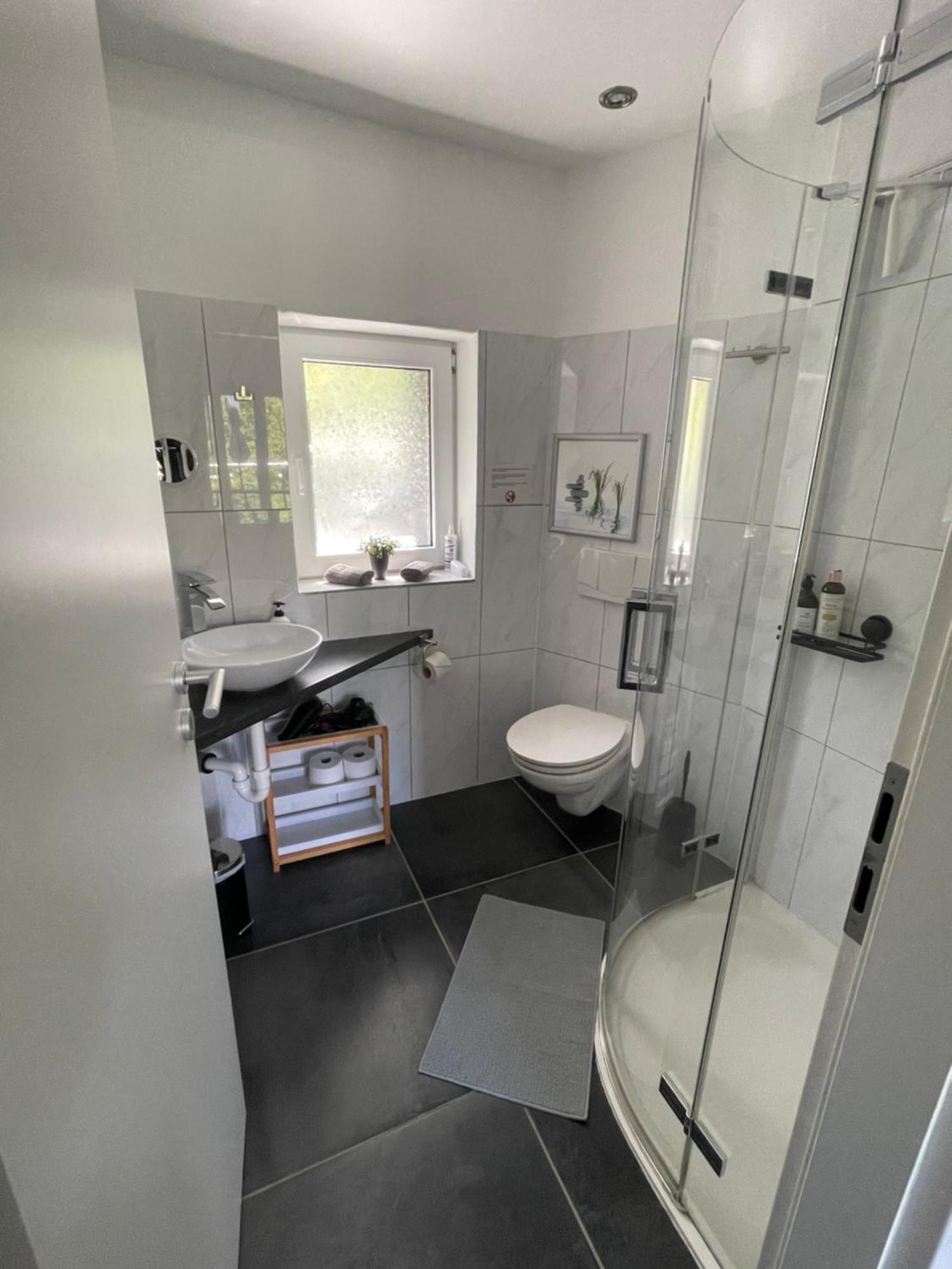 Cs Casa Serena Gambarogno エクステリア 写真