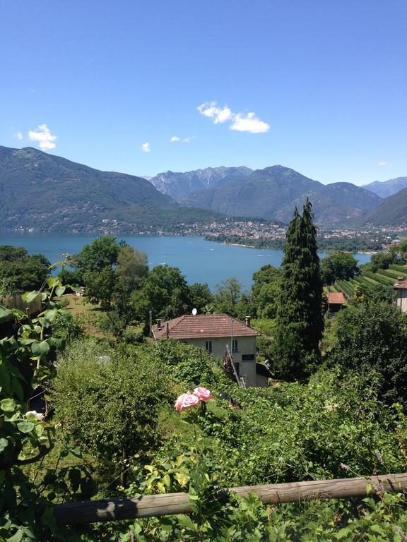 Cs Casa Serena Gambarogno 部屋 写真