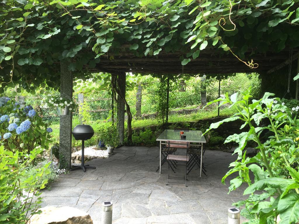 Cs Casa Serena Gambarogno エクステリア 写真